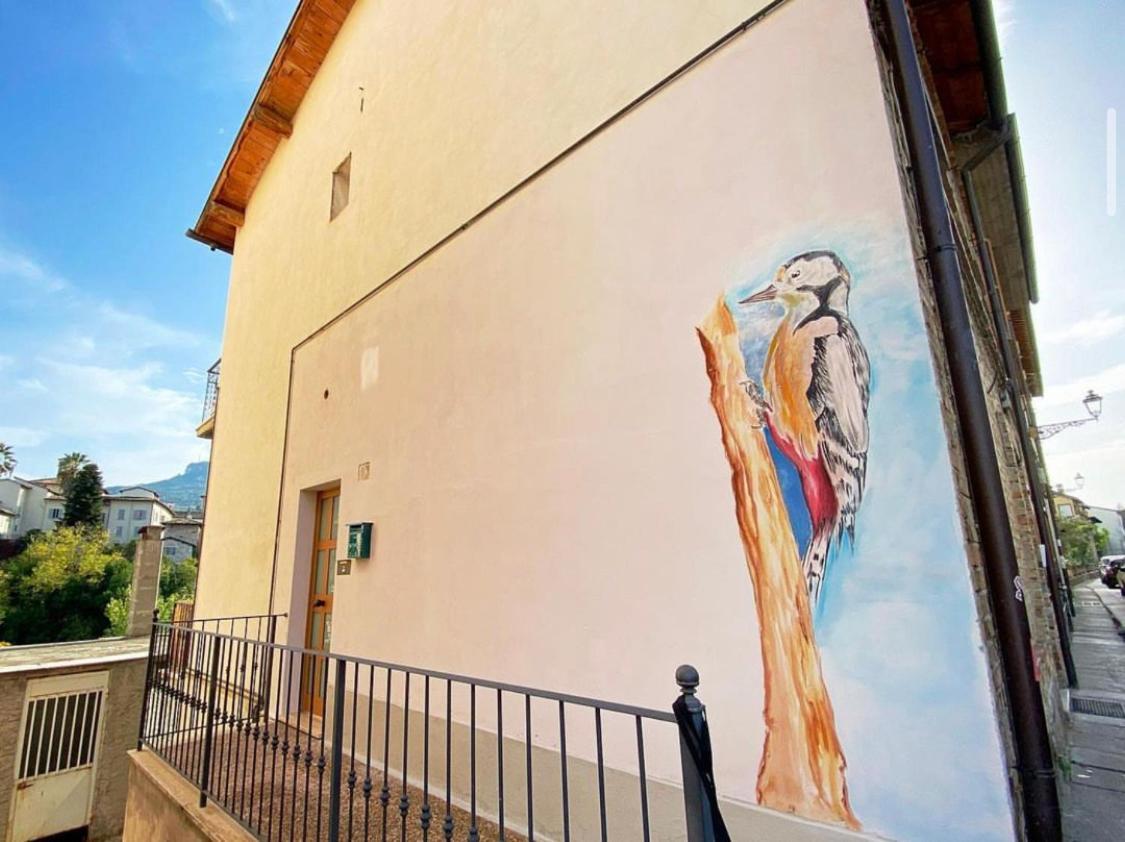 Mini Appartamento "Il Nido Del Picchio" Ascoli Piceno Eksteriør bilde